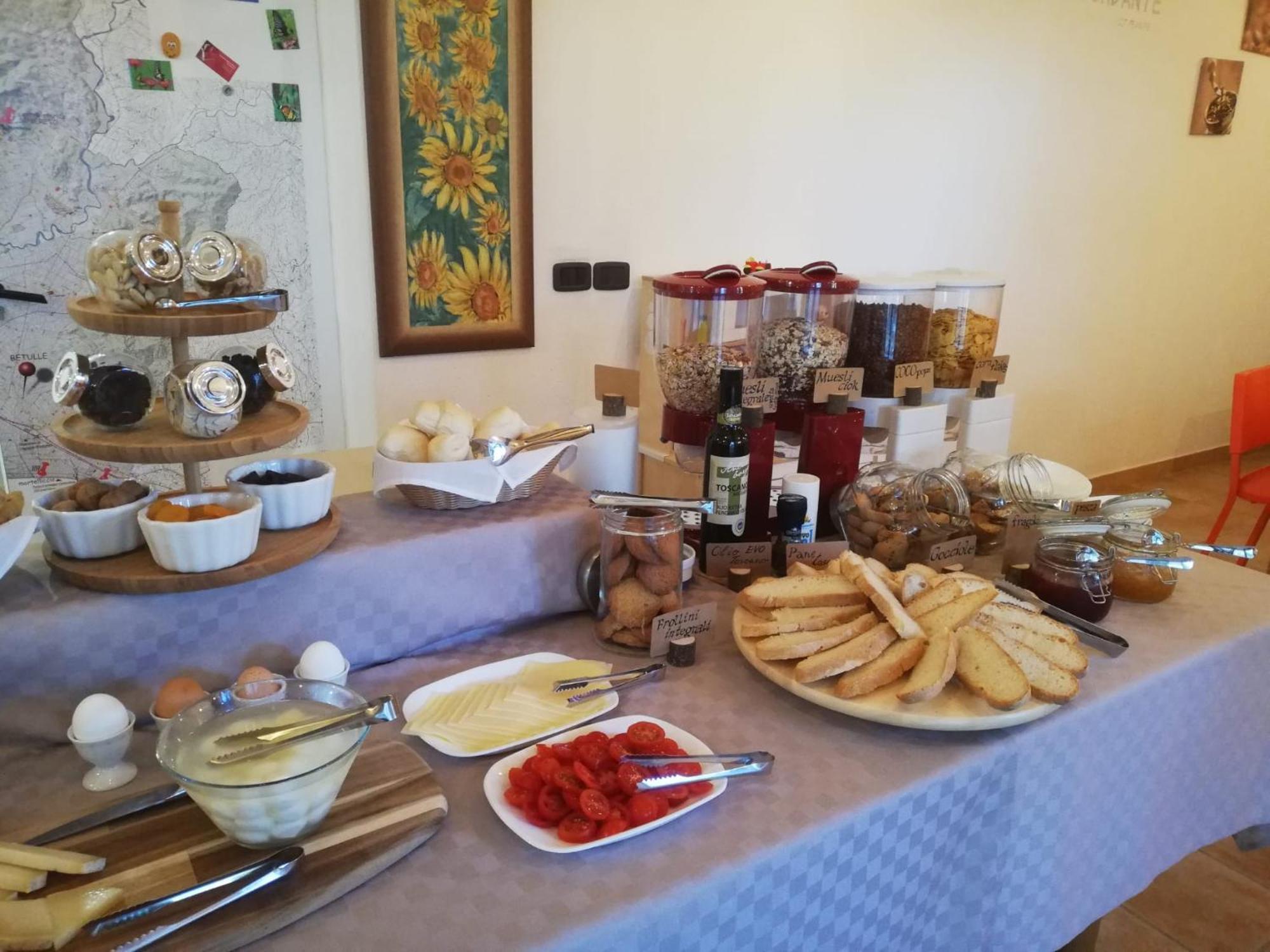 Azienda Agrituristica Le Betulle Séjour à la ferme Riotorto