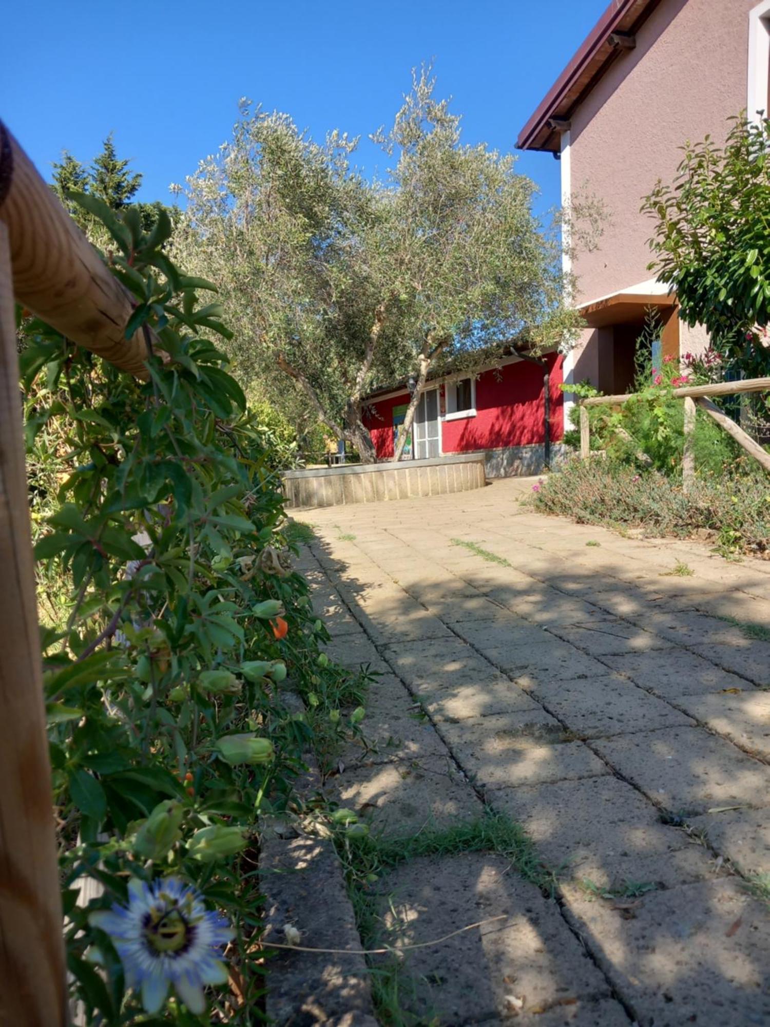 Farm stay Azienda Agrituristica Le Betulle Riotorto