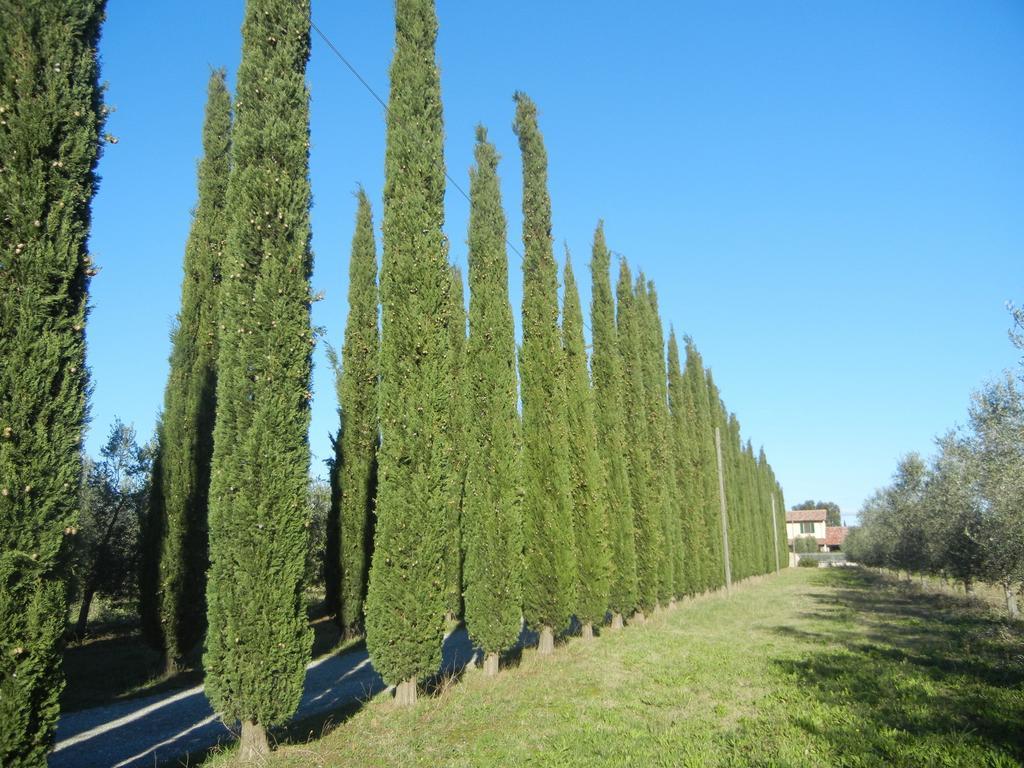 Azienda Agrituristica Le Betulle Vakantieboerderij *