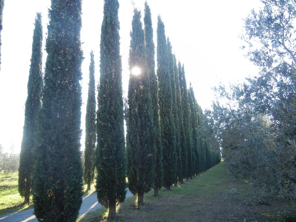 Azienda Agrituristica Le Betulle * Riotorto