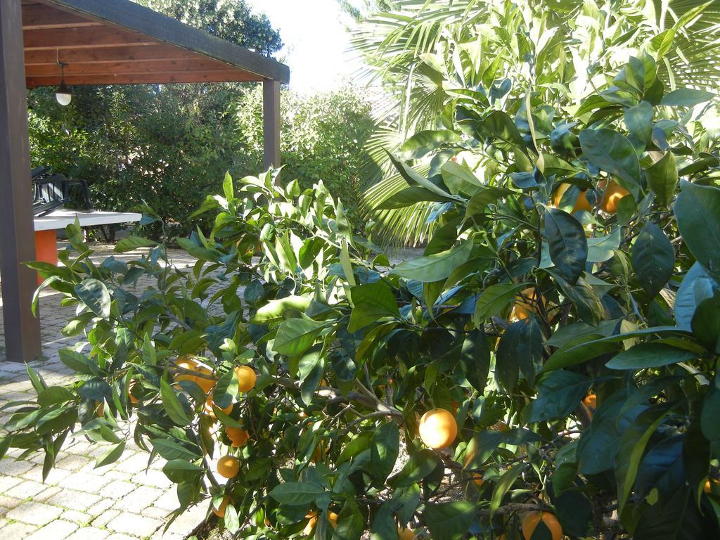 Azienda Agrituristica Le Betulle Vakantieboerderij