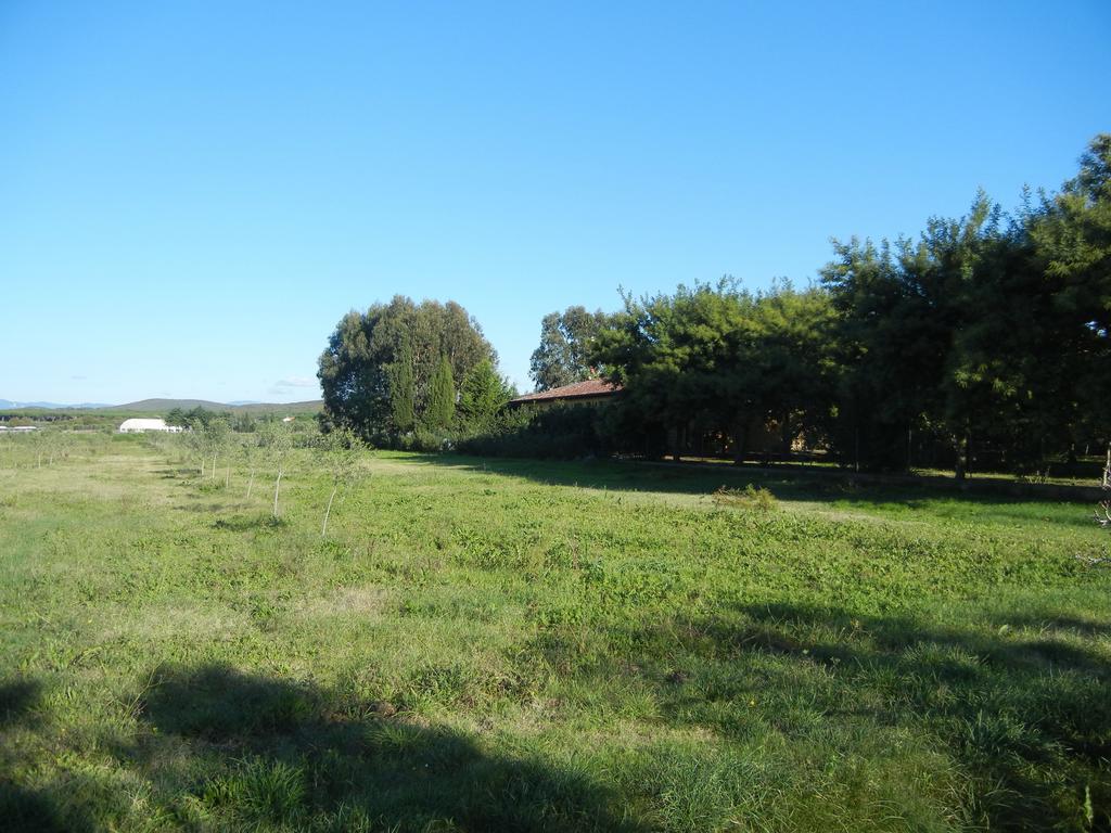 Azienda Agrituristica Le Betulle Vakantieboerderij *
